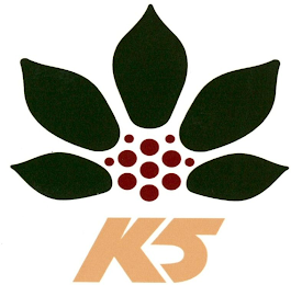 K5 logo