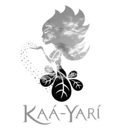 KAA-YARI logo