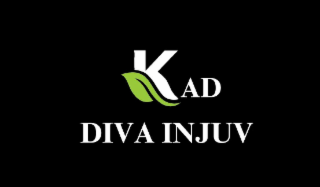 KAD DIVA INJUV logo
