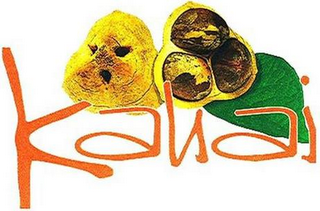 KAHAI logo