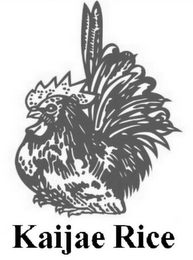 KAIJAE RICE logo