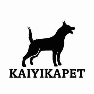KAIYIKAPET logo