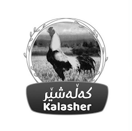 KALASHER logo
