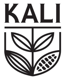 KALI logo
