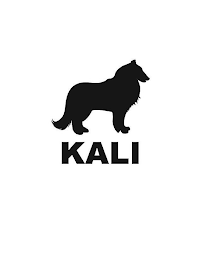 KALI logo
