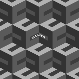 KALIDI logo