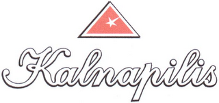 KALNAPILIS logo