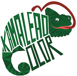 KAMALEAO COLOR logo