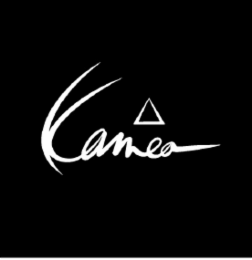 KAMEA logo