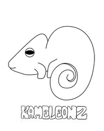 KAMELEONZ logo
