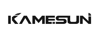 KAMESUN logo