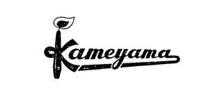 KAMEYAMA logo