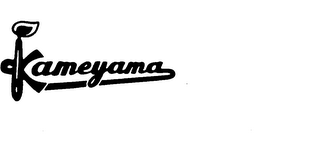 KAMEYAMA logo