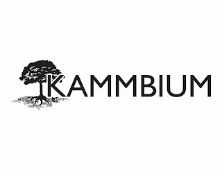 KAMMBIUM logo