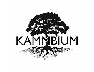 KAMMBIUM logo