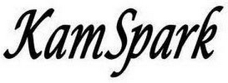 KAMSPARK logo