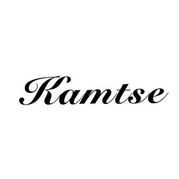KAMTSE logo