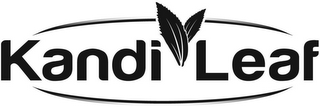 KANDI LEAF logo