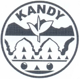 KANDY logo