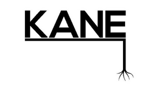 KANE logo