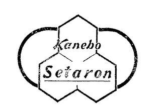 KANEBO SETARON logo