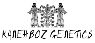 KANEHBOZ GENETICS logo
