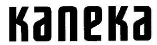 KANEKA logo