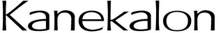 KANEKALON logo