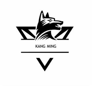 KANG MING logo