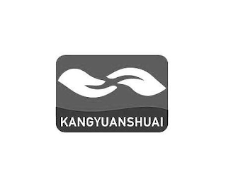 KANGYUANSHUAI logo