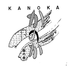 KANOKA logo