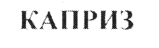 KAP3 logo