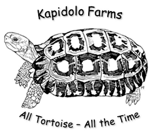 KAPIDOLO FARMS ALL TORTOISE - ALL THE TIME logo