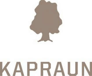 KAPRAUN logo