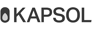 KAPSOL logo