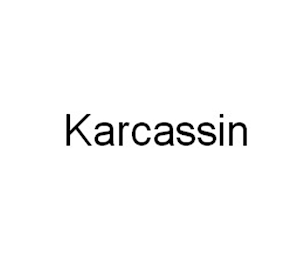 KARCASSIN logo