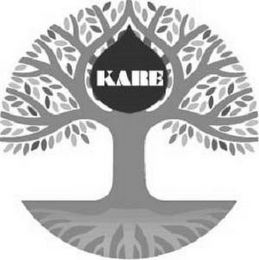 KARE logo