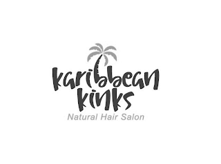 KARIBBEAN KINKS NATURAL HAIR SALON logo