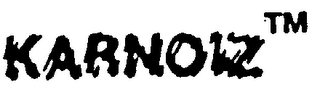 KARNOIZ logo