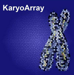 KARYOARRAY logo