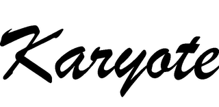 KARYOTE logo