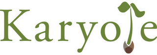 KARYOTE logo