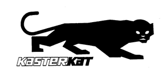 KASTERKAT