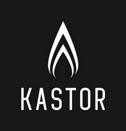 KASTOR logo