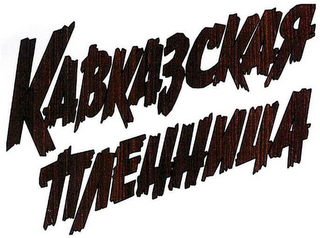 KAVKAZSKAYA PLENNITSA logo