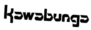 KAWABUNGA logo