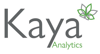 KAYA ANALYTICS logo