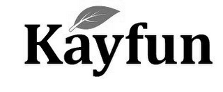 KAYFUN logo