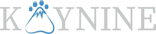 KAYNINE logo