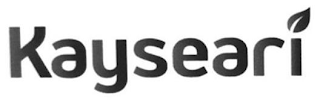 KAYSEARI logo